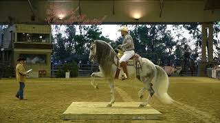 Feria del caballo Español mayo 2023 finales [upl. by Laforge127]