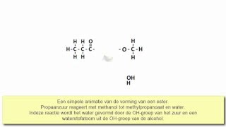 Animatie vorming methylpropanoaat [upl. by Aihseit]