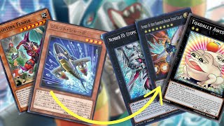 Jet Shark Gives Water XYZ EVEN MORE Consistency  YuGiOh Combos 2024 [upl. by Romola124]