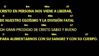 CANTOS PARA MISA  EUCARISTÍA MILAGRO DE AMOR  Pan Transformado  Letra y acordes  Comunión [upl. by Acinot432]