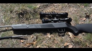 Beeman Dual Caliber Air Rifle  How to Easily Site in Both Barrels [upl. by Airdua]