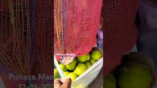 Punasa Mangos Aam Rasalu Mamide bowenpally market shortvideo trending videos vlog viralfood [upl. by Margarete274]