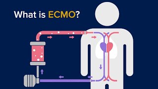 What is ECMO  Lifesaving Support for Failing Organs Including COVID19 Cases [upl. by Clyte]