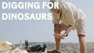 Paleontologists dig for Jurassic dinosaur fossils [upl. by Calderon]