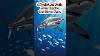 3 Mysterious Facts About Sharks You Never Knewshorts animals facts animalworld [upl. by Parlin]