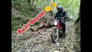 Honda C90 amp CT110 Aussie Postie  OFFROADING Part 3  THE SHROPSHIRE STUFF [upl. by Shultz324]