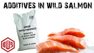 The Hidden Toxin In Our Wild Caught Seafood STPP [upl. by Anilad660]