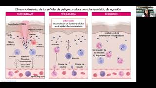 Inmunología I  10 Clase de Repaso [upl. by Yenar]