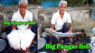 Today stock 7 Nov 2024 fish fishbazar fishing food viralvideo tranding shorts fishcutting [upl. by Magree501]