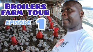 AMAZING BROILER FARM  OUR 1ST POULTRY FARM VISITTOUR EPISODE1 IN MAVOKO AREA [upl. by Airdnna]