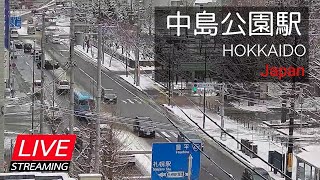 202411111【LIVE】道路状況・中島公園駅周辺 札幌市中央区南８条西４丁目 [upl. by Sinnal]