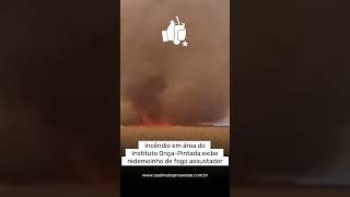 VÍDEO Incêndio em área do Instituto OnçaPintada exibe redemoinho de fogo assustador [upl. by Stoat]