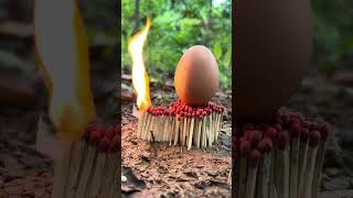 How to bake eggs with matches outdoors dailylife camping bushcraft survival [upl. by Ytisahc]