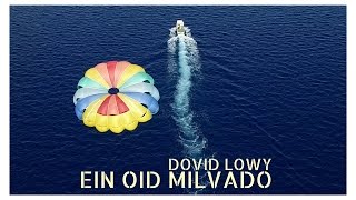 DOVID LOWY  Ein Oid MilvadoOfficial Music Video דוד לעווי אין עוד מלבדו [upl. by Nika]