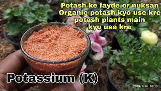 Potash plants ke liye kyu jaruri hota hai nuksan or fayde organic potash [upl. by Nnalyrehc]