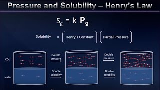 Henrys Law and Gas Solubility Explained [upl. by Nagek500]