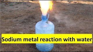 Sodium metal reaction with water [upl. by Nrubyar676]