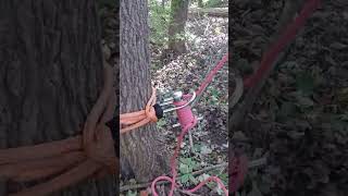 Remote Retrievable Rigging for Lifting Rigging StormDamage TreeWork Arborist Pulley Rope [upl. by Llennor]