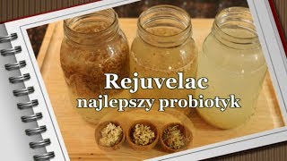 Lek na jelita i najlepszy napój probiotyczny  REJUVELAC [upl. by Mmada157]