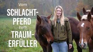 😍Darf ich vorstellen Vom Schlachtpferd zum Traumerfüller  Mein neues Kapitel​🐎​ [upl. by Sergio472]