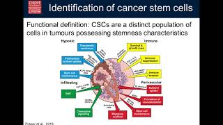 Targeting prostate cancer stem cells with T cell immunotherapy [upl. by Eveiveneg]