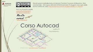 Corso Autocad  Lezione 3  Linput dinamico [upl. by Thaddaus782]