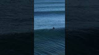 Slyde Handboards Solo Session at Oceanside Pier Perfect Waves amp Day [upl. by Sirromad]