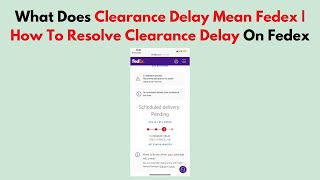 What Does Clearance Delay Mean Fedex  How To Resolve Clearance Delay On Fedex [upl. by Anialem]