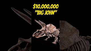 Most EXPENSIVE fossils EVER you may have one🦖🦕🤑 [upl. by Sidwell57]