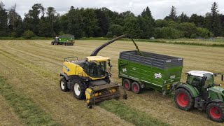 Colleran Harvesting  Silage 2023 [upl. by Eyahc]