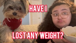 Weigh in and meal prep  Vlog [upl. by Hjerpe58]