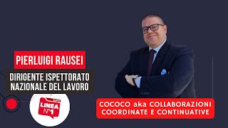 COCOCO ovvero COLLABORAZIONI COORDINATE E CONTINUATIVE [upl. by Wolgast]