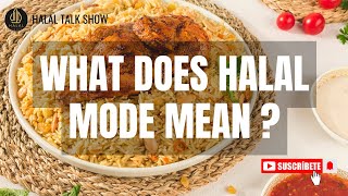 What Does Halal Mode Mean  Understanding Halal Mode in Islam 🕌  What It Represents [upl. by Meri707]