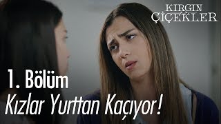 Kızlar yurttan kaçıyor  Kırgın Çiçekler 1 Bölüm [upl. by Llertac]