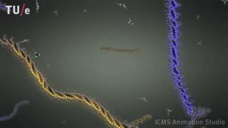 Supramolecular polymerization of disclike molecules [upl. by Ataliah]