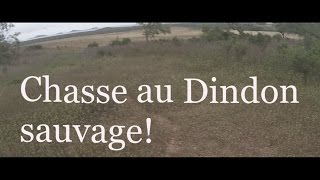 Chasse au Dindon sauvageNouvelle Calédonie [upl. by Eddy]