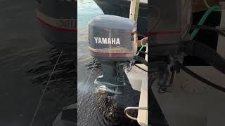 Yamaha VX 225 two stroke Saltwater series [upl. by Ramma713]