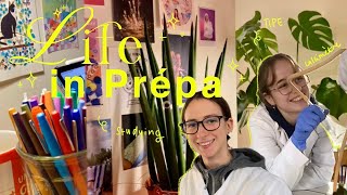 vlog 🪨 une semaine en prépa BCPST  TIPE TP roches magmatiques plantes [upl. by Llertnor]