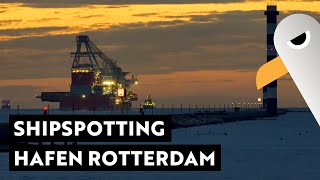 Shipspotting in Rotterdam Maasvlakte 🛳️ bis zum Sonnenuntergang [upl. by Katherin]