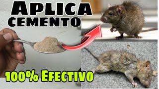 COMO Eliminar RATAS y RATONES de Manera Permanente [upl. by Fawne]