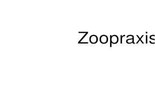 How to pronounce Zoopraxiscope [upl. by Lacee]