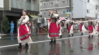 実践女子大学YOSAKOIソーラン部WING  ひのよさこい祭  豊田南演舞場  20241005 [upl. by Range]