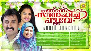 Njan Snehicha Poove  Superhit Mappilappattu Collection  Kannur Shareef  Rahana  Sindhu Premkumar [upl. by Eruza27]