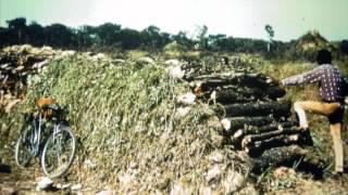 Charcoal Making in Zambia [upl. by Nissensohn925]