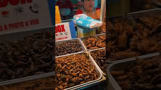 Tasting Exotic Insect Foods 🐜  Khao San Road Bangkok Street Food bangkokstreetfood exoticfoods [upl. by Cinomod]