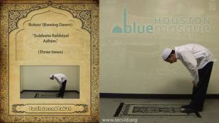 How to Pray  Fajr Morning Pray  Fardh [upl. by Wertheimer]