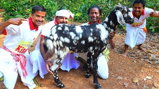 Special Deshi Mutton Curry and Katla fish Kalia  Mutton curry cooking for village people [upl. by Bannister]