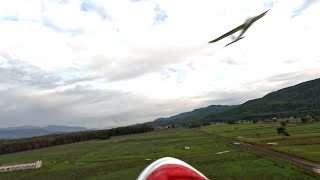 Volantex Ranger 1600 Fpv 20231211 Daily dose  Chase  Lowpass  Can GökovalıSkysurfer 1400 [upl. by Sirovat]