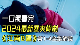 一口气看完，2024池昌旭最新暴爽韩剧《江南B区》14全集解说 [upl. by Lorant]