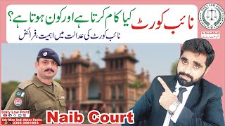 Naib Court Duties Work  Naib Court in Court Room  Naib Court Job  Nab Court Duty  Daily LawPoint [upl. by Smith]